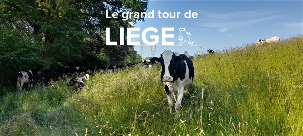 Grand Tour de Liège : Découvrez la Nature entre Jupille et Fayenbois