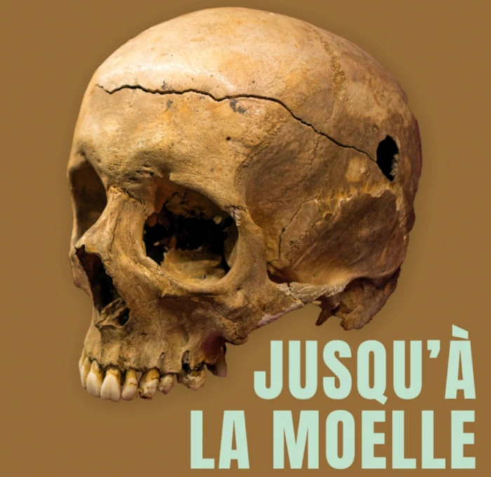 Jusqu’à la moelle, l’exploitation industrielle des ossements humains