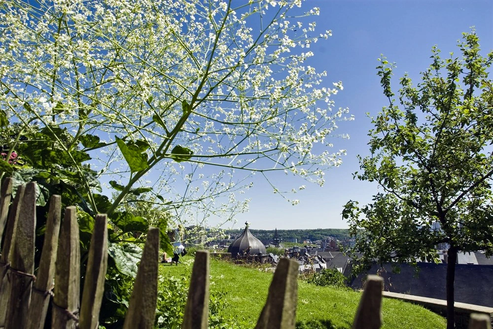 Festival de Promenade – Liège 2025