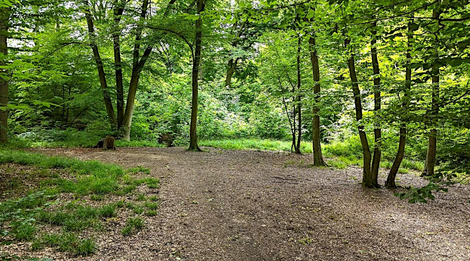 La Réserve naturelle du Bois de Wandre et du Fond Coy
