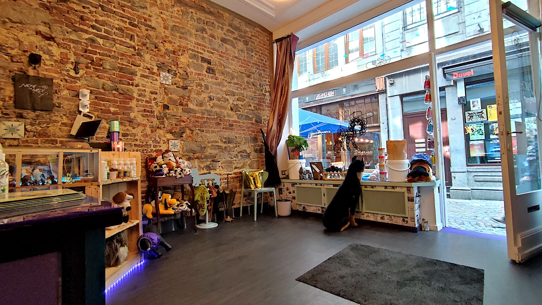 Niche Ta Mère, le nouveau Dogwash urbain de Liège